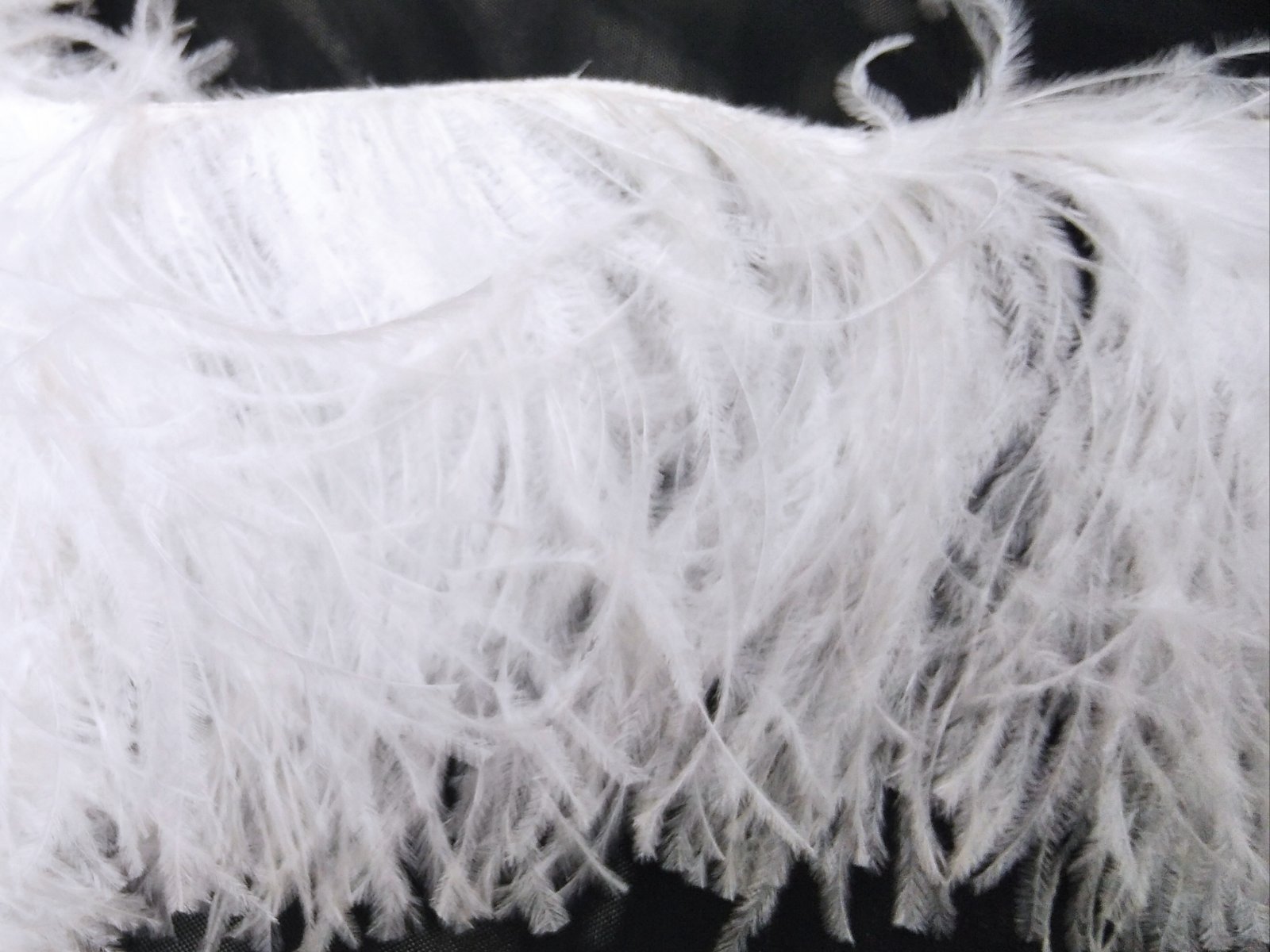 Ostrich Feather Fringe Trim 12-15 Cm